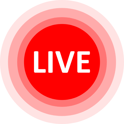 Videochat Adults